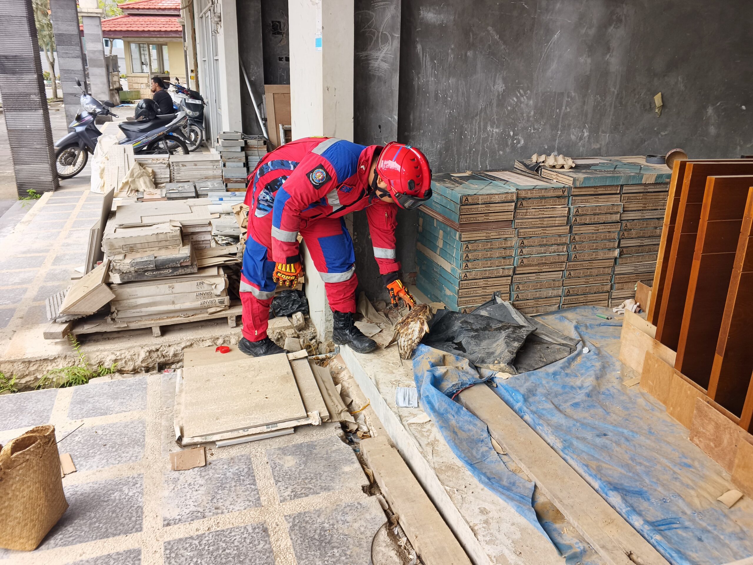 Benang Layang-Layang Jerat Burung Hantu, Petugas Damkar Banjar Turun Tangan