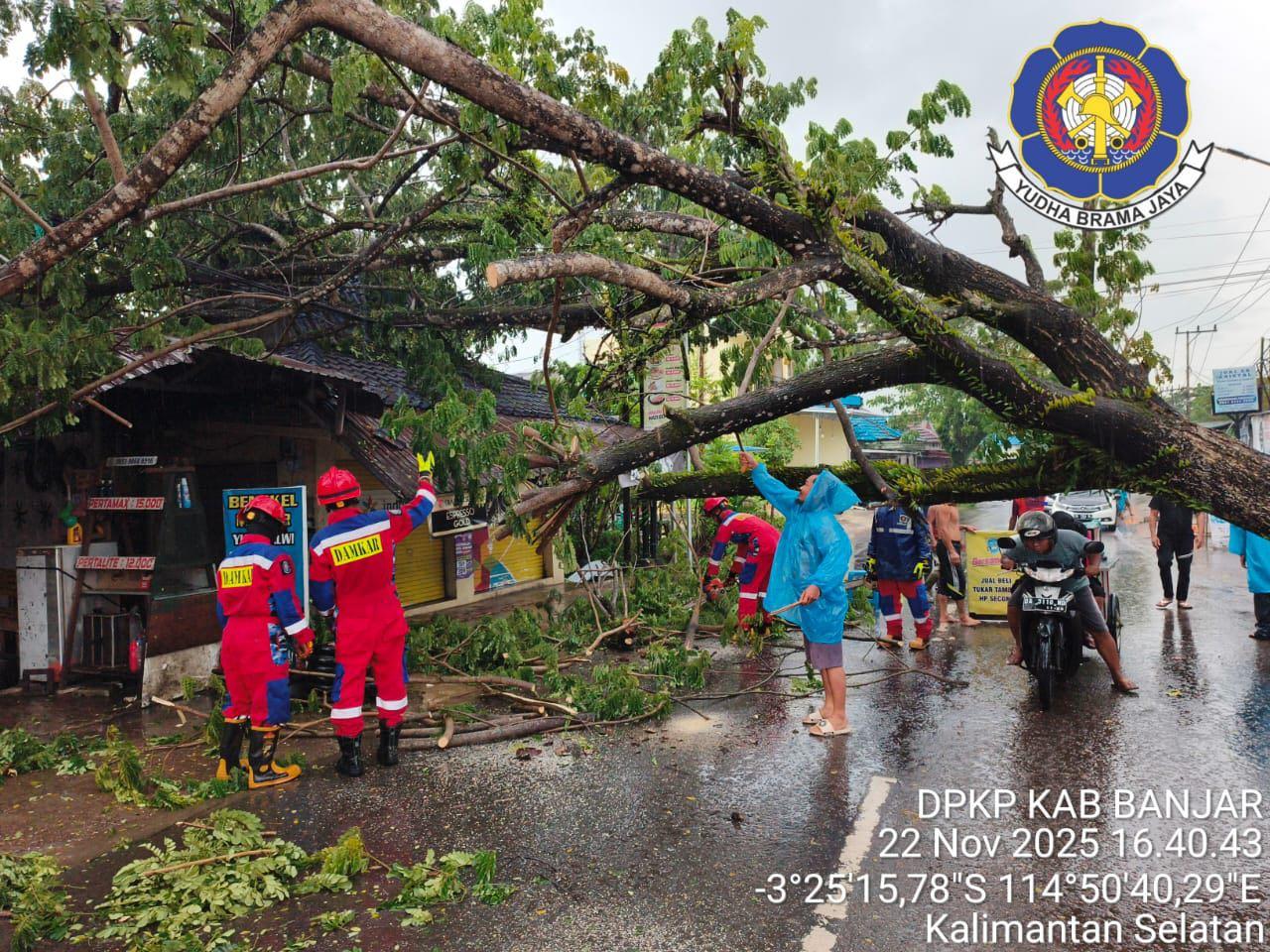 Jalan Veteran Kembali Dilanda Pohon Tumbang, DPKP Banjar Lakukan Evakuasi