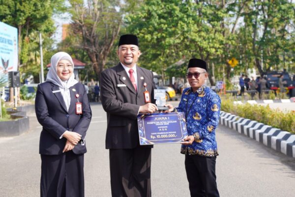 Pemkab Banjar Serahkan Pengharagaan Kepada ASN